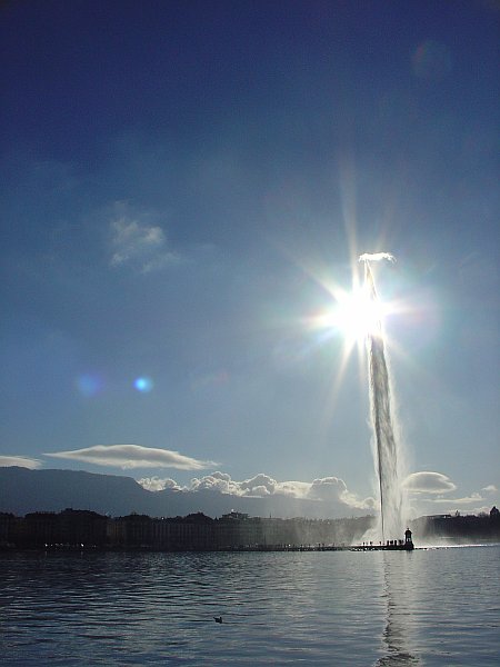 Genf am 31.12.2007